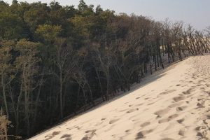 Große Dünen von Leba